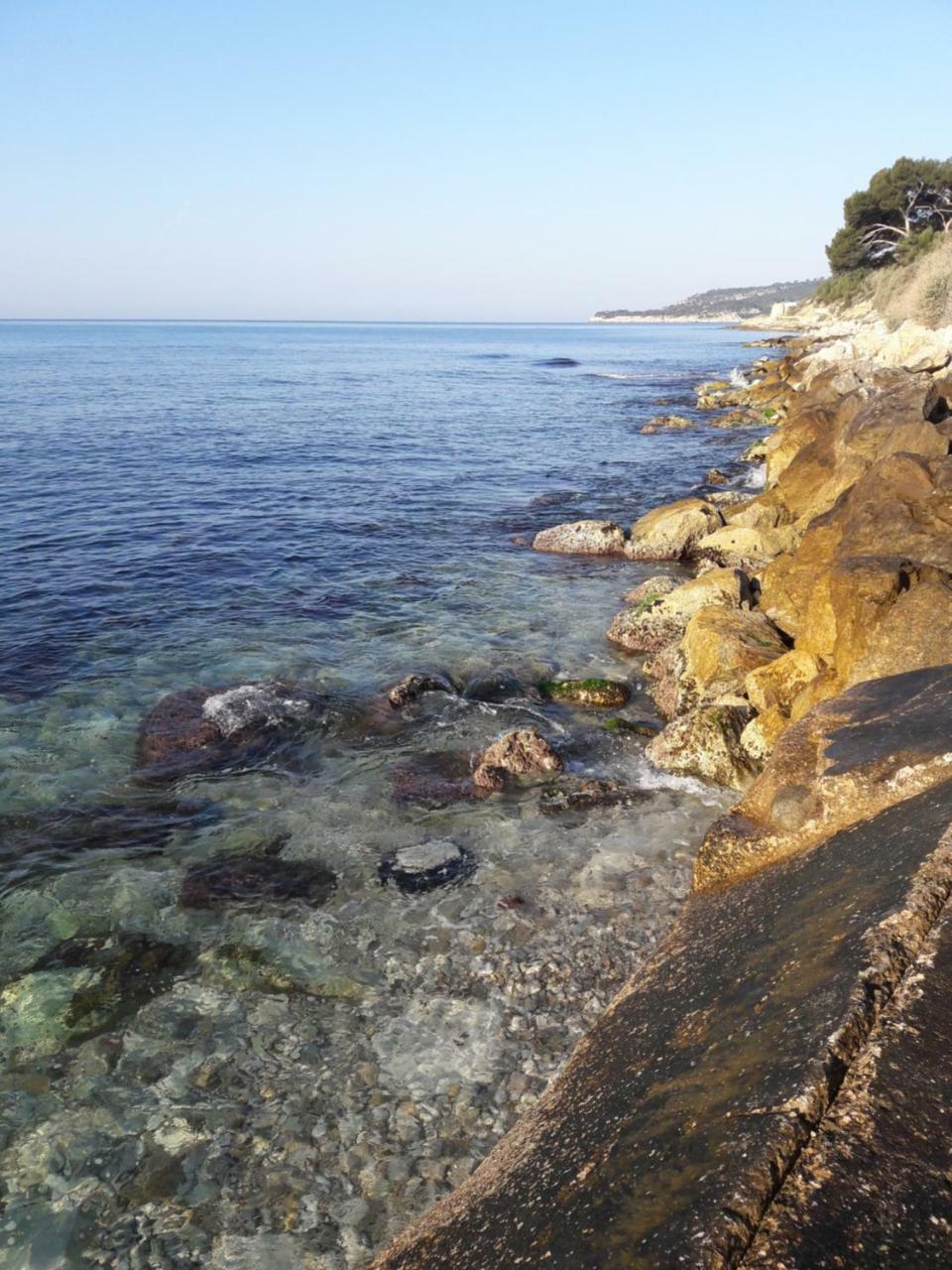 Le Mimosa Daire Cassis Dış mekan fotoğraf