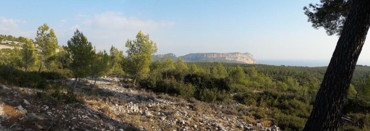 Le Mimosa Daire Cassis Dış mekan fotoğraf